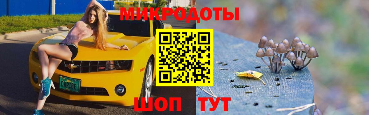 Галлюциногенные грибы Psilocybe Касимов